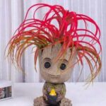 honolulu的头像-VAM®克苏恩资源社区