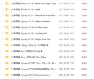 flyroxy付费场景合集-2023.4.16【动捕】【视频演示】-VAM®克苏恩资源社区