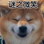 yzmj的头像-VAM®克苏恩资源社区