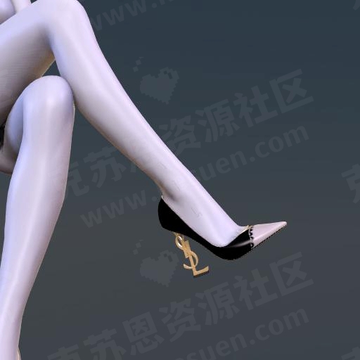 图片[4]-服饰AWG.YSL_Classic_heel-克苏恩资源社区