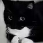 2876zhou-VAM®克苏恩资源社区