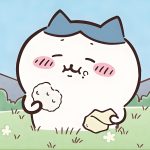 qq1433078736的头像-VAM®克苏恩资源社区