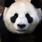 cyytz的头像-VAM®克苏恩资源社区