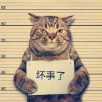 zjf520053的头像-VAM®克苏恩资源社区