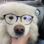 XIAOLULAOYE的头像-VAM®克苏恩资源社区