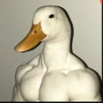 Antisleep的头像-VAM®克苏恩资源社区