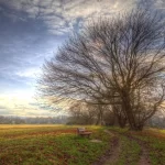 哐哐三下-VAM®克苏恩资源社区